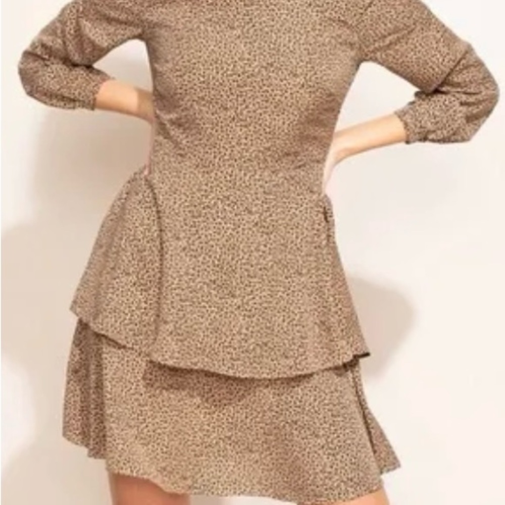 Leopard Print Long Sleeve Dress